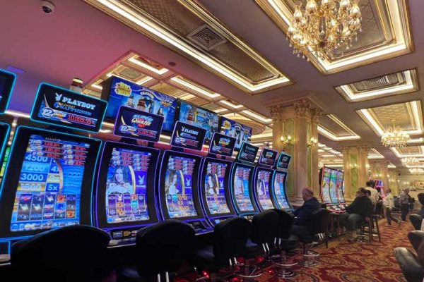 amgbahissikayet üyelik görseli